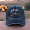 Embroidered Protect Our National Parks Pigment Dyed Hat, Resist FDT Dad Hat, Bear National Parks Support Hat, Protect National Parks Hat