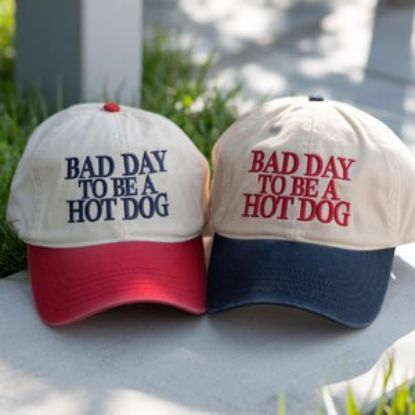 Embroidered Bad Day To Be a Hot Dog Baseball Hat, Funny 4th of July Embroidered Tee, To be a Hot dog Hat, Sarcastic Baseball Hat