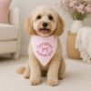 Certified Mama’s Girl Pet Bandana, Personalized Pink Striped Dog Bandana, Embroidered Puppy Scarf, Cute Girly Dog Accessories, Pet Gift Idea