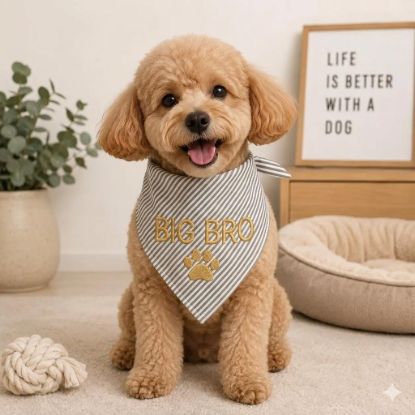 Picture of Personalized Big Bro Dog Embroidered Pet Bandana, Custom Dog Bandana Name, Puppy Scarf, Cute Pet Accessories, Big Bro Dog Bandana Gift