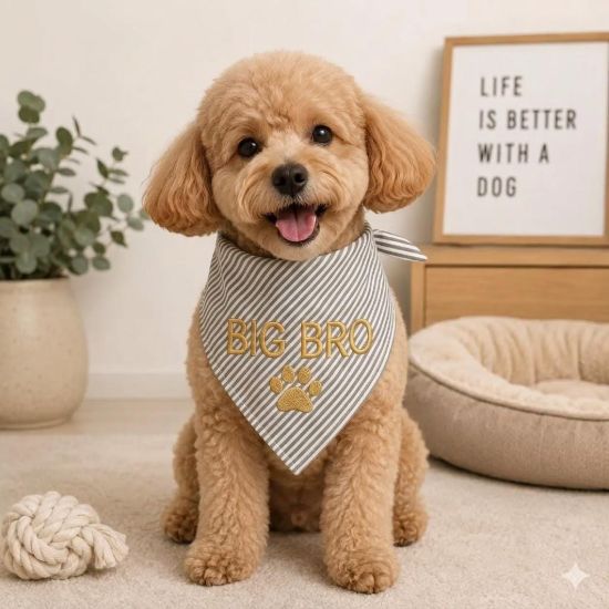 Picture of Personalized Big Bro Dog Embroidered Pet Bandana, Custom Dog Bandana Name, Puppy Scarf, Cute Pet Accessories, Big Bro Dog Bandana Gift