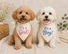 Picture of Embroidered Gender Reveal Dog Bandana, It’s A Girl It’s A Boy Pet Bandana, Baby Announcement Dog Scarf, Puppy Reveal Gift, Dog Cat Bandana