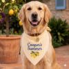 Picture of Personalized Lemon Dog Bandana, Custom Embroidered Dog Bandana, Blue Pet Dog Cat Bandana, Summer Puppy Scarf Gift, Pet Party Outfit