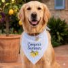 Picture of Personalized Lemon Dog Bandana, Custom Embroidered Dog Bandana, Blue Pet Dog Cat Bandana, Summer Puppy Scarf Gift, Pet Party Outfit
