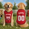 Picture of Big Brother Dog Shirt, Pregnancy Announcement Pet Jersey, Custom Name Number Dog Clothes, Baby Reveal Cat Dog Outfit, Cute Pet Clothing