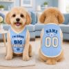 Picture of Big Brother Dog Shirt, Pregnancy Announcement Pet Jersey, Custom Name Number Dog Clothes, Baby Reveal Cat Dog Outfit, Cute Pet Clothing