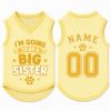 Picture of Big Sister Dog Shirt, Pregnancy Announcement Pet Jersey, Custom Name Number Dog Clothes, Baby Reveal Pet Outfit, Cute Sister Shirt For Pet