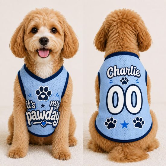 Picture of Custom Dog Jersey Shirt, Personalized Pet Outfit with Name Number, It’s My Pawday Puppy Shirt, Cute Dog Clothes, Pet Dog Cat Jersey Gift