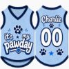 Picture of Custom Dog Jersey Shirt, Personalized Pet Outfit with Name Number, It’s My Pawday Puppy Shirt, Cute Dog Clothes, Pet Dog Cat Jersey Gift