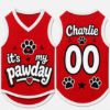 Picture of Custom Dog Jersey Shirt, Personalized Pet Outfit with Name Number, It’s My Pawday Puppy Shirt, Cute Dog Clothes, Pet Dog Cat Jersey Gift