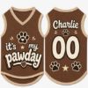 Picture of Custom Dog Jersey Shirt, Personalized Pet Outfit with Name Number, It’s My Pawday Puppy Shirt, Cute Dog Clothes, Pet Dog Cat Jersey Gift