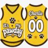 Picture of Custom Dog Jersey Shirt, Personalized Pet Outfit with Name Number, It’s My Pawday Puppy Shirt, Cute Dog Clothes, Pet Dog Cat Jersey Gift