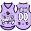 Picture of Custom Dog Jersey Shirt, Personalized Pet Outfit with Name Number, It’s My Pawday Puppy Shirt, Cute Dog Clothes, Pet Dog Cat Jersey Gift