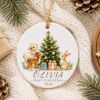 Picture of Personalized Baby First Christmas Ornament, Woodland Animals, Newborn Keepsake Decor