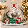 Picture of Personalized Donkey Family Christmas Ornament, Custom Farm Animal Acrylic Ornament, Donkey Lover Gift, Family Holiday Keepsake Decor 2026