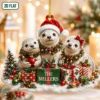 Picture of Personalized Seal Family Christmas Ornament, Custom Ocean Animal Acrylic Ornament, Seal Lover Gift, Marine Life Holiday Keepsake Decor 2026