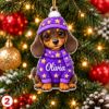 Picture of Personalized Dog Christmas Ornament 2026, Custom Name Pet Ornament, Puppy Christmas Tree Decor, Dog Lover Gift, Pet Keepsake Christmas