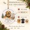 Picture of Personalized Dog Adoption Ornament 2026, Custom Pet Name Christmas Keepsake, Rescue Dog Gift, First Christmas With New Dog, Pet Parent Gift