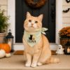 Picture of Personalized Embroidered Dog Bandana, Custom Pet Name Halloween Bandana, Black Cat Pumpkin Embroidery, Spooky Pet Gift 2026