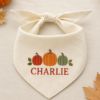 Picture of Personalized Embroidered Dog Bandana, Custom Pet Name Pumpkin Bandana, Fall Thanksgiving Pet Scarf, Autumn Dog Gift 2026 Halloween