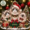 Picture of Personalized Ragdoll Cat Ornament 2026, Custom Pet Christmas Ornament, Ragdoll Cat Family Decor, Cat Lover Gift, Custom Name Keepsake