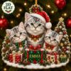 Picture of Personalized Silver Tabby Cat Christmas Ornament 2026, Custom Name Three Tabby Cat Acrylic Ornament, Cat Family Christmas Gift, Cat Keepsake