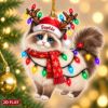 Picture of Ragdoll Cat Christmas Ornament, Personalized Cat Acrylic Ornament, Custom Name Pet Tree Decor, Cute Cat Lover Holiday Keepsake Gift 2026