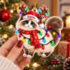 Picture of Ragdoll Cat Christmas Ornament, Personalized Cat Acrylic Ornament, Custom Name Pet Tree Decor, Cute Cat Lover Holiday Keepsake Gift 2026