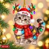 Picture of Scottish Fold Cat Christmas Ornament, Personalized Cat Acrylic Ornament, Custom Name Pet Tree Decor, Cute Kitty Lover Holiday Gift 2026