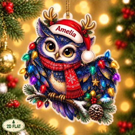 Picture of Owl Christmas Ornament, Personalized Bird Acrylic Ornament, Custom Name Woodland Owl Tree Decor, Cute Forest Animal Holiday Keepsake Gift