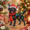 Picture of Black Labrador Christmas Ornament, Personalized Dog Acrylic Ornament, Custom Name Pet Tree Decor, Black Lab Lover Holiday Keepsake Gift 2026