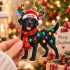 Picture of Black Labrador Christmas Ornament, Personalized Dog Acrylic Ornament, Custom Name Pet Tree Decor, Black Lab Lover Holiday Keepsake Gift 2026