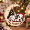 Picture of Personalized Dalmatian Christmas Ornament, Custom Dog Name Acrylic Ornament, Dalmatian Memorial Keepsake, Pet Lover Christmas Gift