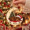Picture of Personalized Dachshund Christmas Ornament, Custom Dog Name Ornament, Wiener Dog Lover Gift, Pet Keepsake, 2D Flat Christmas Tree Decor 2026