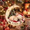 Picture of Personalized French Bulldog Christmas Ornament, Custom Dog Name Ornament, Frenchie Lover Gift, Pet Keepsake, 2D Flat Xmas Tree Decor 2026