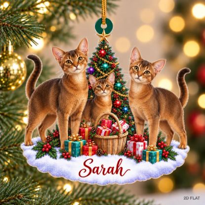 Picture of Personalized Abyssinian Cat Christmas Ornament, Custom Name Cat Ornament, Cat Mom Gift, Cat Lover Christmas Keepsake, 2D Flat Xmas Decor