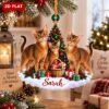 Picture of Personalized Abyssinian Cat Christmas Ornament, Custom Name Cat Ornament, Cat Mom Gift, Cat Lover Christmas Keepsake, 2D Flat Xmas Decor