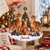 Picture of Personalized Abyssinian Cat Christmas Ornament, Custom Name Cat Ornament, Cat Mom Gift, Cat Lover Christmas Keepsake, 2D Flat Xmas Decor