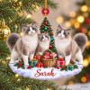 Picture of Personalized Ragdoll Cat Christmas Ornament, Custom Name Cat Ornament, Ragdoll Lover Gift, Cat Mom Gift, 2D Flat Christmas Keepsake 2026