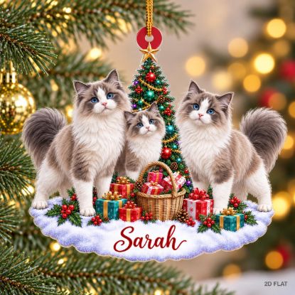 Picture of Personalized Ragdoll Cat Christmas Ornament, Custom Name Cat Ornament, Ragdoll Lover Gift, Cat Mom Gift, 2D Flat Christmas Keepsake 2026
