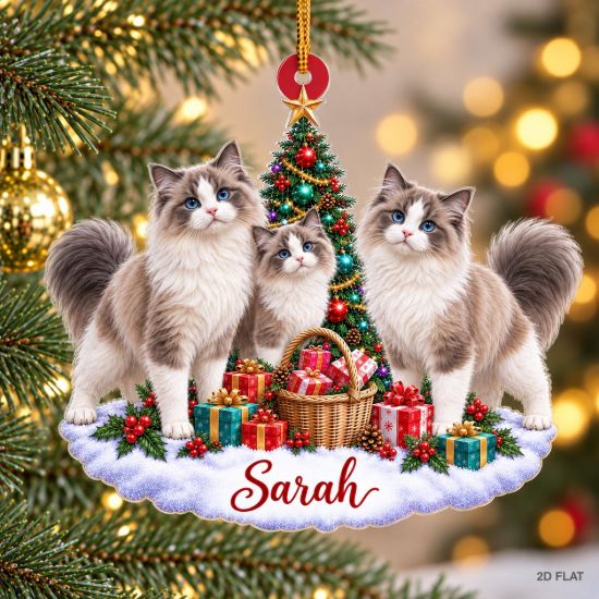 Picture of Personalized Ragdoll Cat Christmas Ornament, Custom Name Cat Ornament, Ragdoll Lover Gift, Cat Mom Gift, 2D Flat Christmas Keepsake 2026