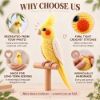 Picture of Custom Your Pet Crochet Doll From Photo, Personalized Bird Plush, Custom Cockatiel Crochet Doll, Parrot Replica, Pet Memorial Keepsake Gift