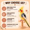 Picture of Custom Your Pet Crochet Doll From Photo, Personalized Pet Plush, Custom Bird Crochet Doll, Realistic Cockatiel Replica, Bird Memorial Gift