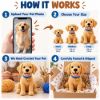 Picture of Custom Your Pet Crochet Doll From Photo, Personalized Dog Plush With Name, Look Alike Golden Retriever Replica, Pet Memorial Keepsake Gift