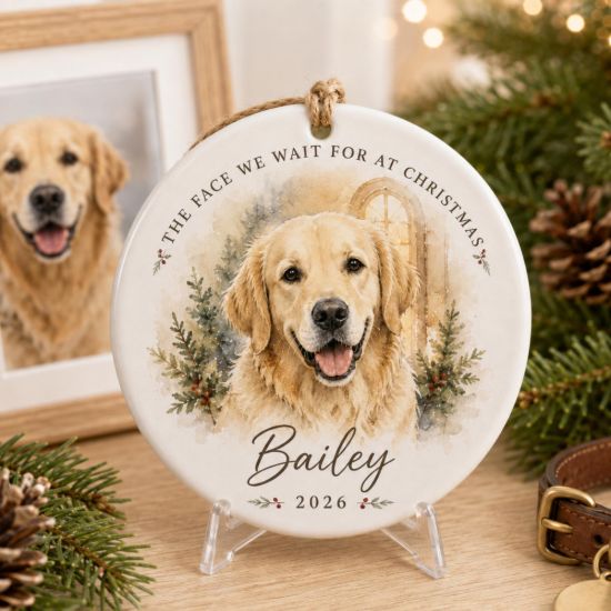 Picture of Personalized Dog Christmas Ornament 2026, Custom Pet Name Keepsake, Dog Lover Gift, Personalized Puppy Ornament, Christmas Gift for Dog Mom