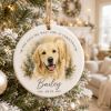 Picture of Personalized Dog Christmas Ornament 2026, Custom Pet Name Keepsake, Dog Lover Gift, Personalized Puppy Ornament, Christmas Gift for Dog Mom